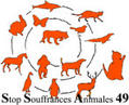 Stop Souffrances Animales 49