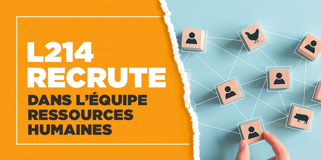 L Recrute Une Charg E De Ressources Humaines En Cdi